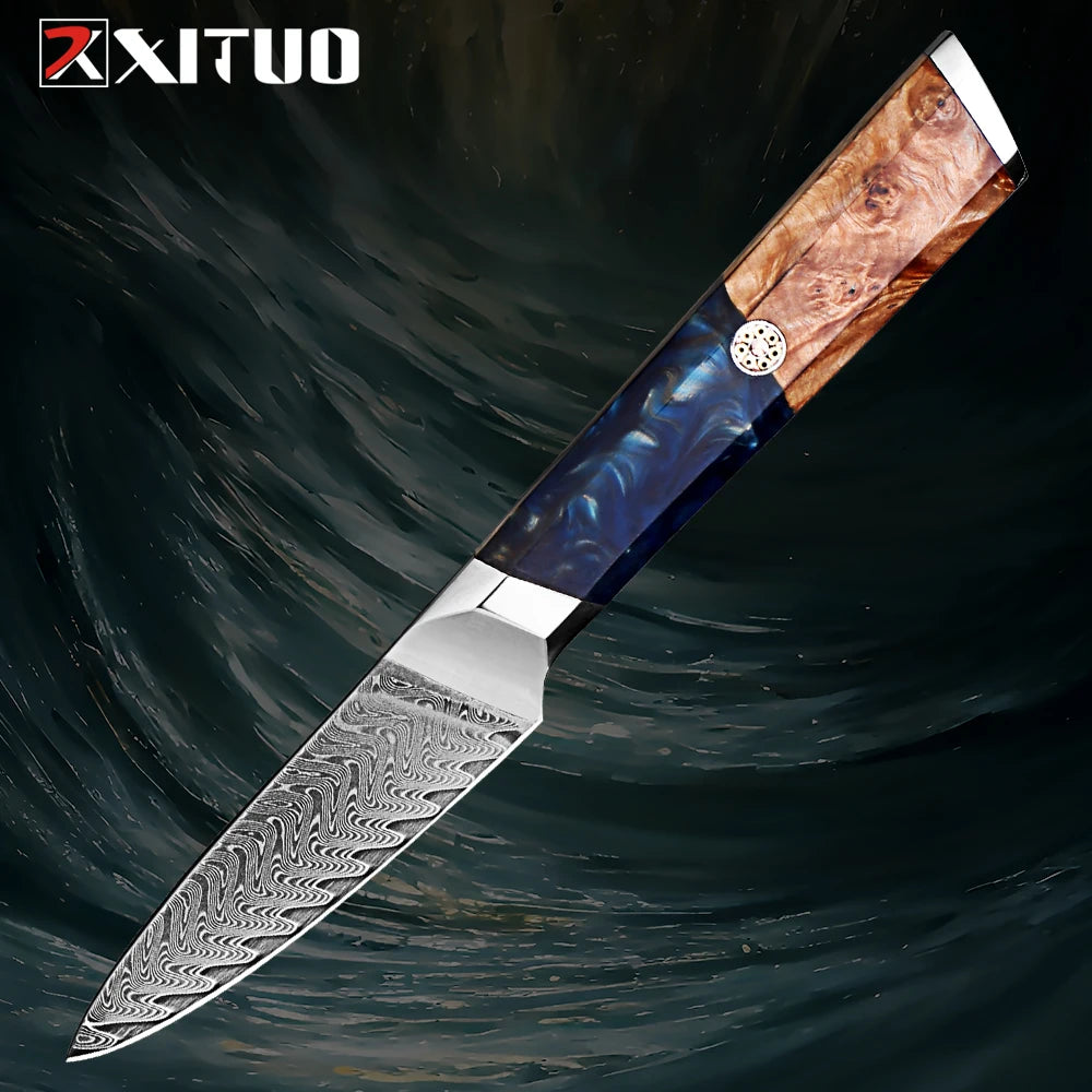 1-9 Pcs Damascus Knife Set Japanese Kitchen Knives VG10 Steel Core Ultra-Sharp Pro Chef Knife Set with Resin & Burl Wood Handles