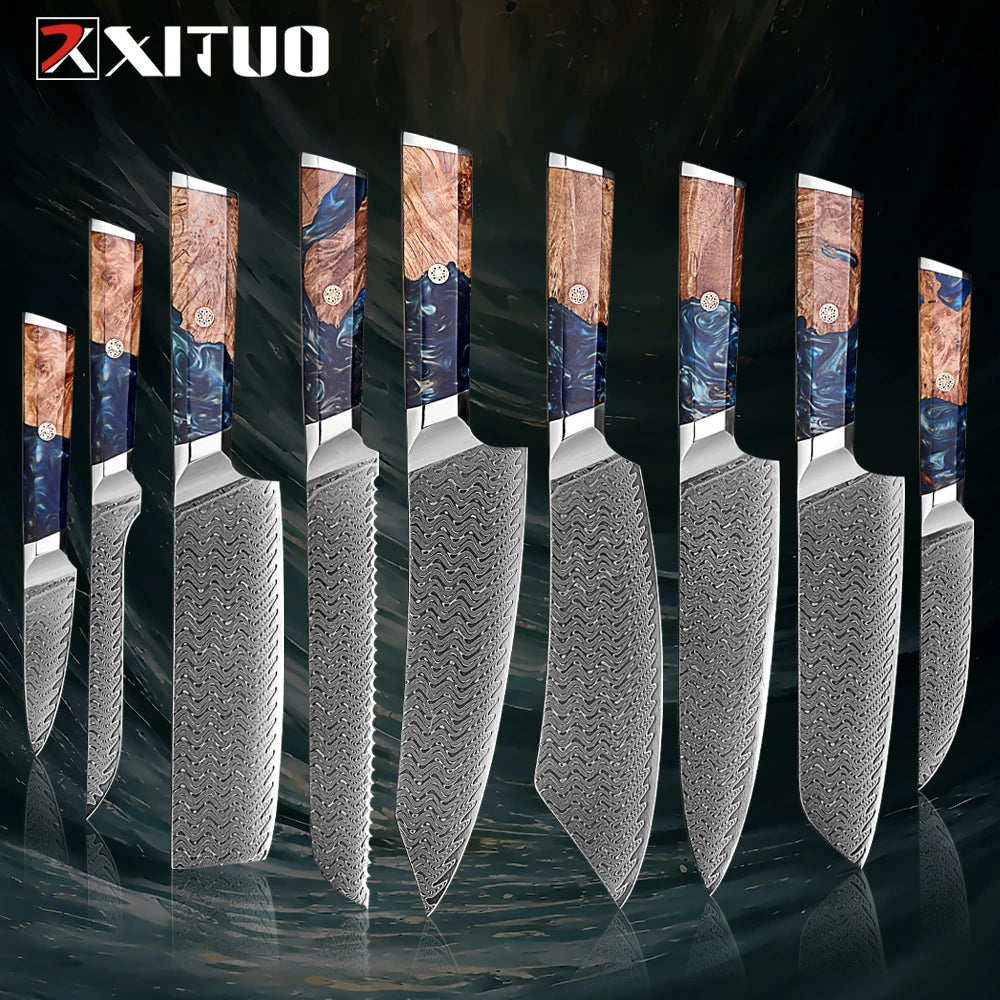 1-9 Pcs Damascus Knife Set Japanese Kitchen Knives VG10 Steel Core Ultra-Sharp Pro Chef Knife Set with Resin & Burl Wood Handles
